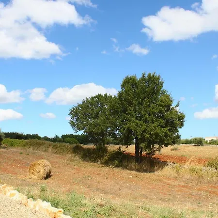Villa Trullo Sull'aia Martina Franca